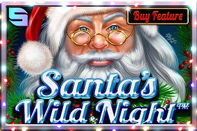 Santas Wild Night